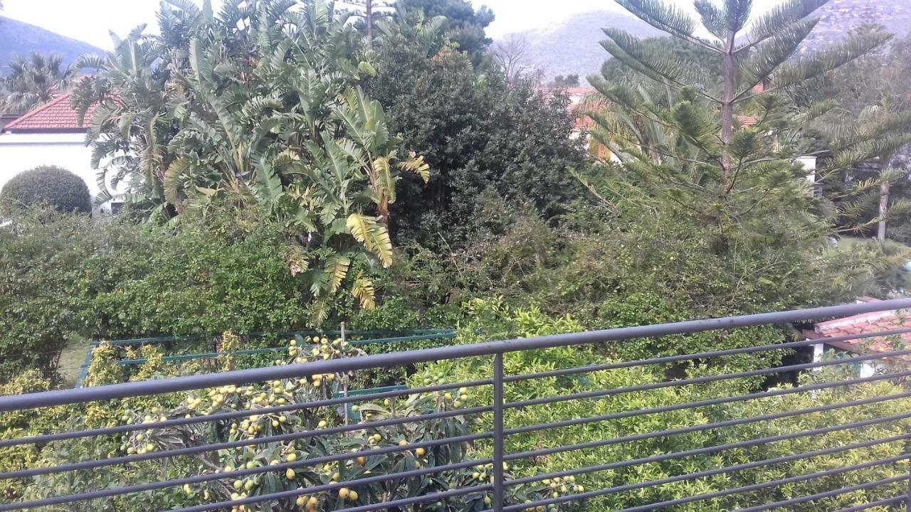 Principessa Jolanda Mondello